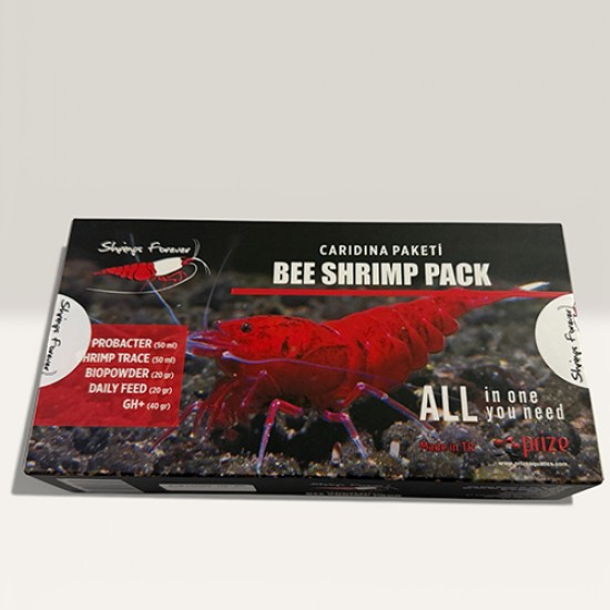 Caridina Sp Starter Pack