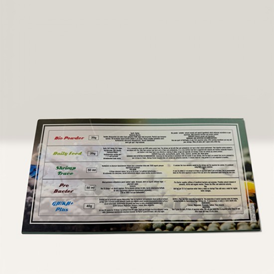 Neocaridina/Tiger Sp Starter Pack