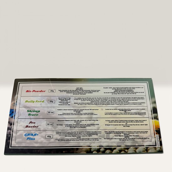 Caridina Sp Starter Pack