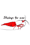 shrimpsforever